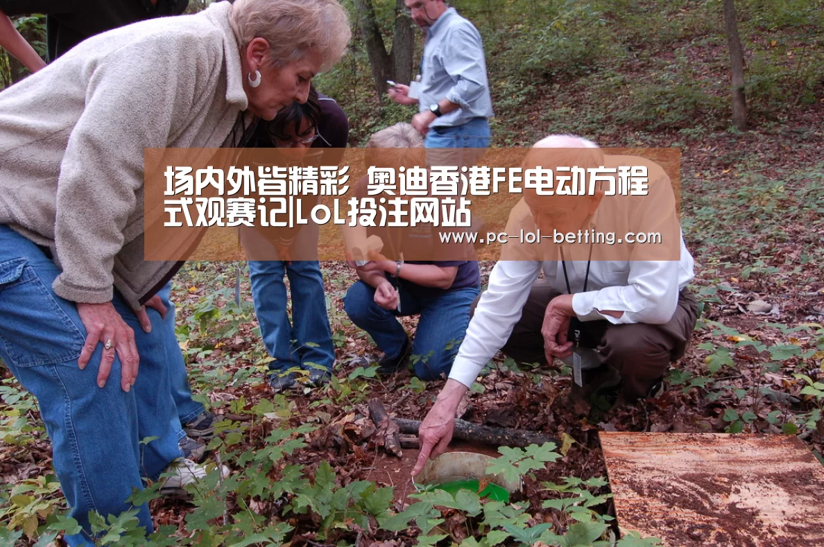 场内外皆精彩 奥迪香港FE电动方程式观赛记|LoL投注网站 (图1) 2026年最佳英雄联盟投注网站