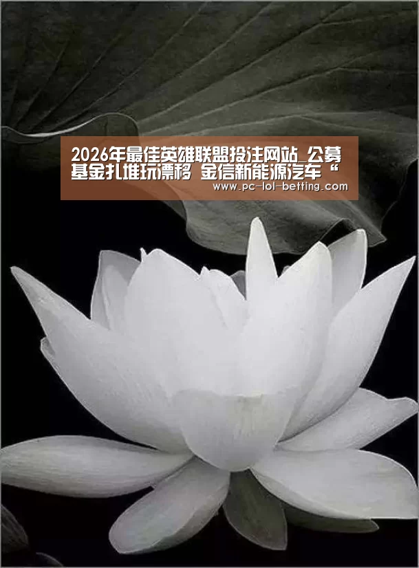 2026年最佳英雄联盟投注网站_公募基金扎堆玩漂移 金信新能源汽车“开错赛道”?(图2) LoL投注网站