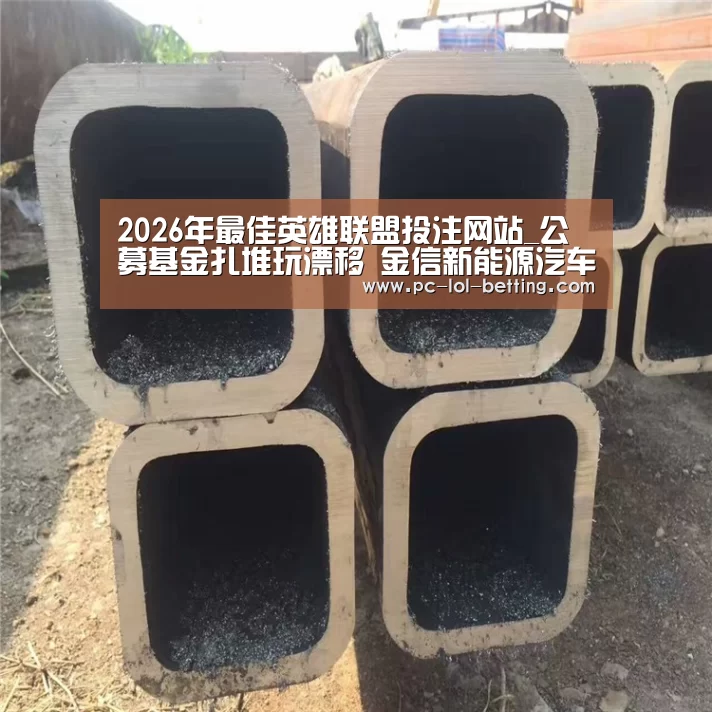 2026年最佳英雄联盟投注网站_公募基金扎堆玩漂移 金信新能源汽车“开错赛道”?(图3) LoL投注网站